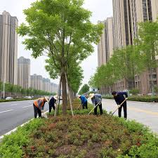 贝博艾佛森 彭州市政资质能干绿化吗